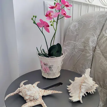 Beach Studio Torremolinos Apartment *